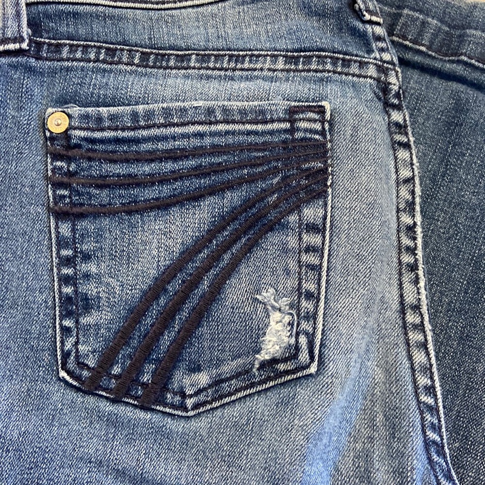 7s for all mankind dojo